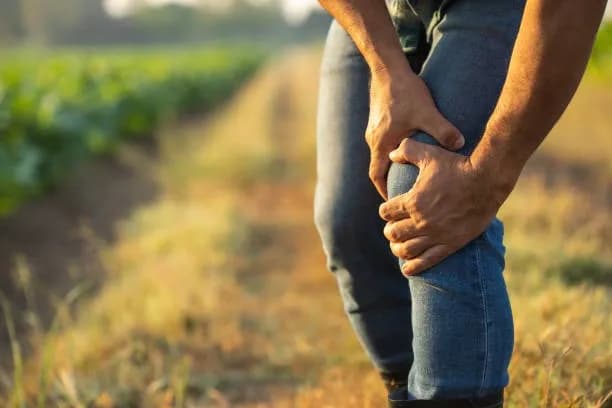 Farm & Agricultural Injuries: Treating Trauma in Yavatmal's Agriculture Community